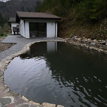 Cottage house Mizhhirya (Transcarpathia) Exterior foto