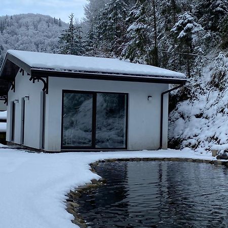 Cottage house Mizhhirya (Transcarpathia) Exterior foto