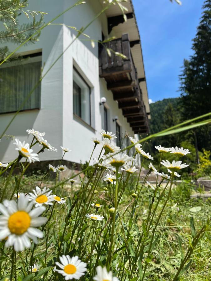 Cottage house Mizhhirya (Transcarpathia) Exterior foto