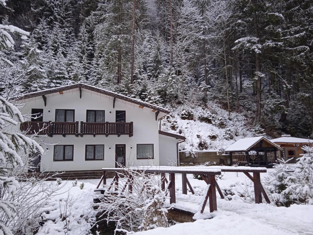 Cottage house Mizhhirya (Transcarpathia) Exterior foto