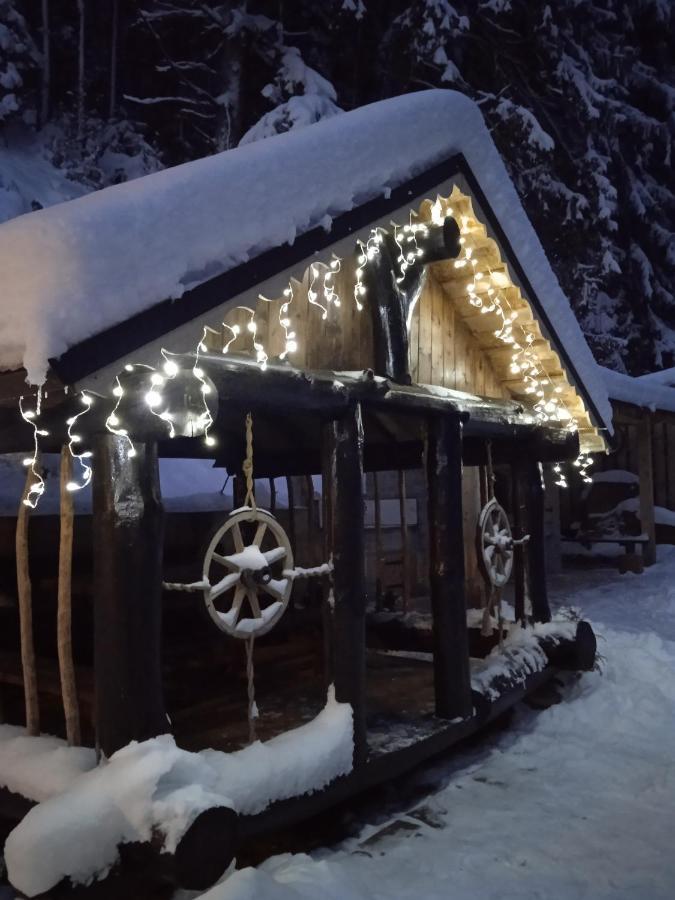 Cottage house Mizhhirya (Transcarpathia) Exterior foto