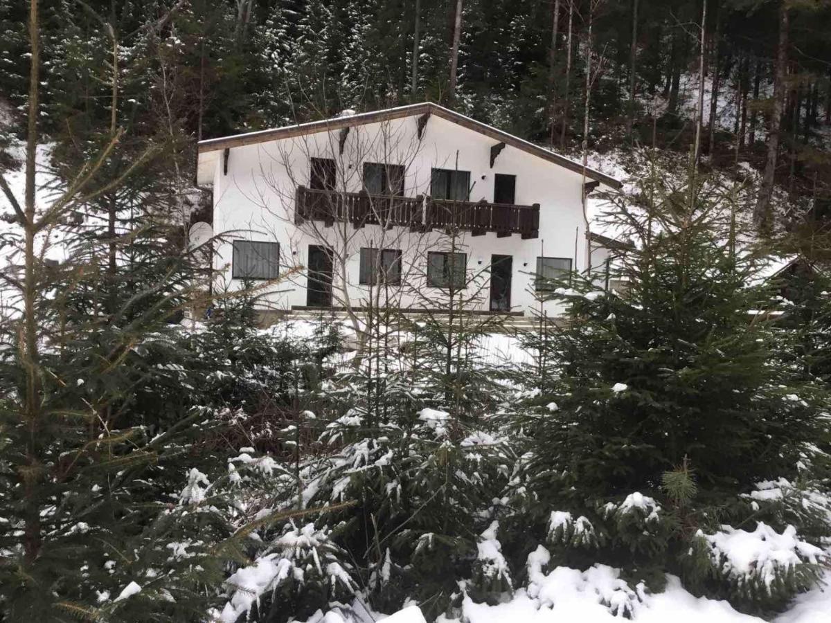 Cottage house Mizhhirya (Transcarpathia) Exterior foto