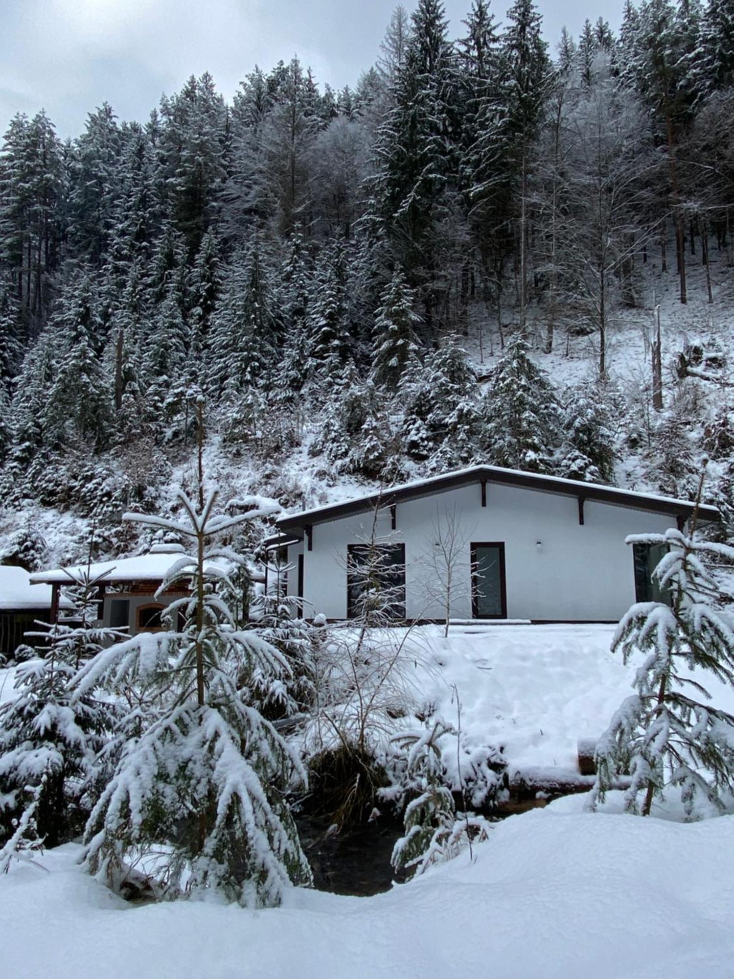 Cottage house Mizhhirya (Transcarpathia) Exterior foto
