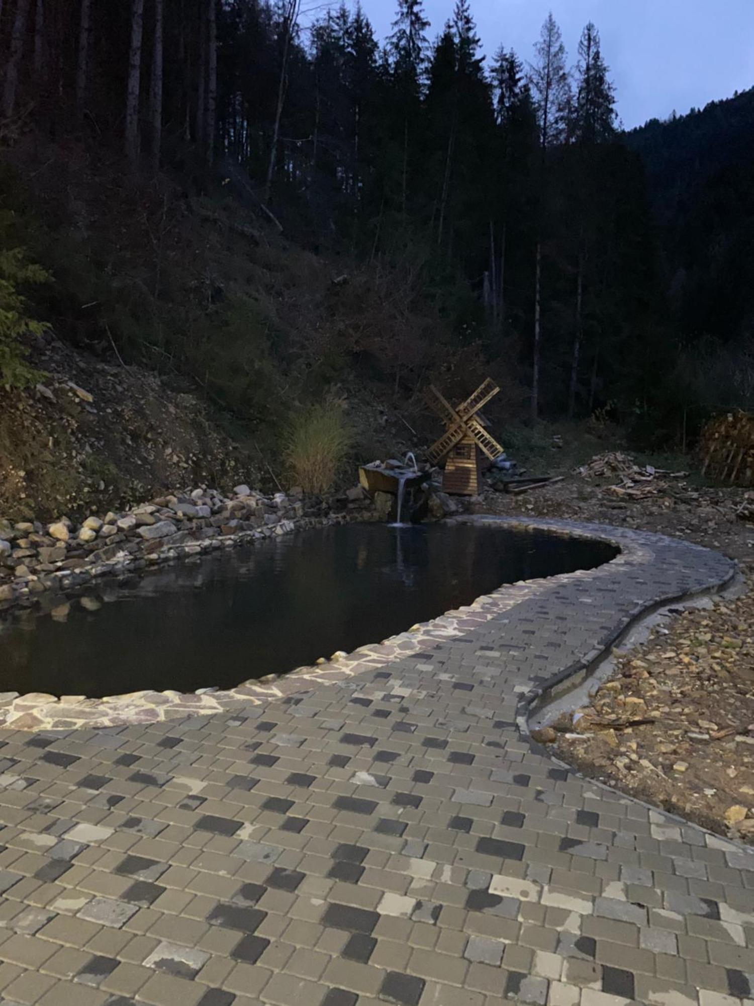 Cottage house Mizhhirya (Transcarpathia) Exterior foto