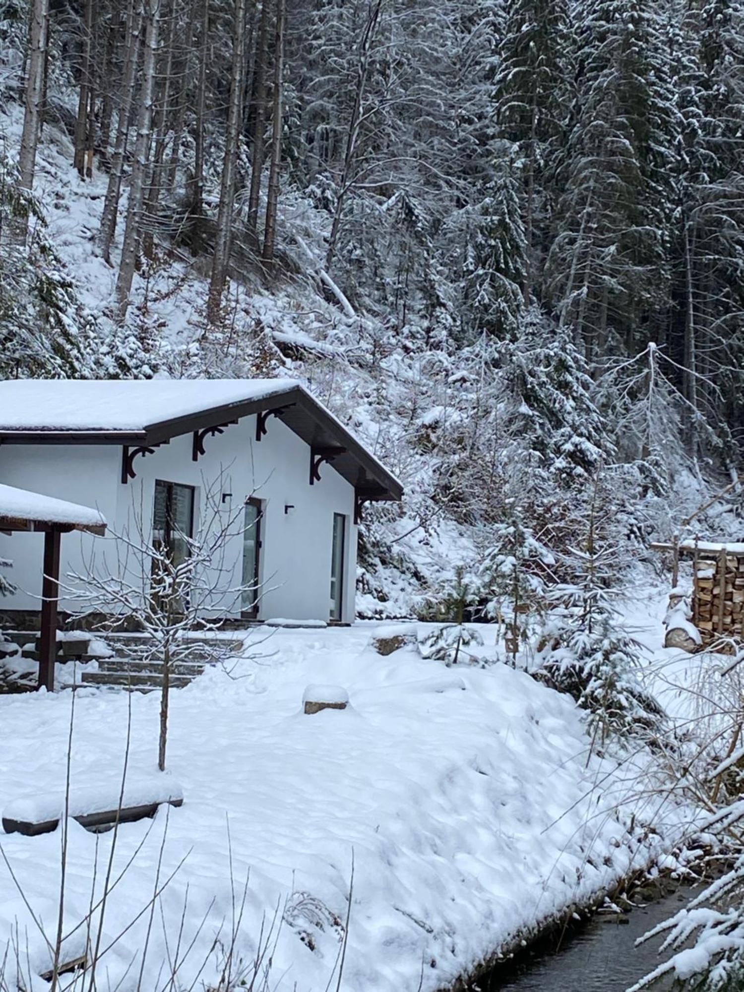 Cottage house Mizhhirya (Transcarpathia) Exterior foto